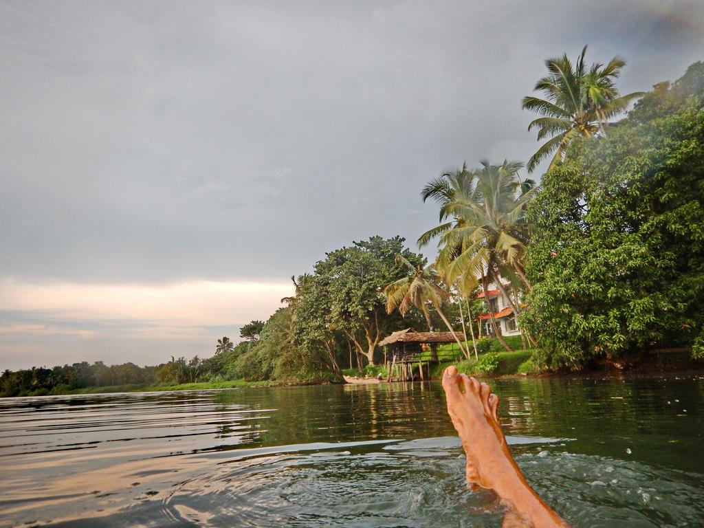 Bed and Breakfast Pearl Spot Недумбассери Экстерьер фото